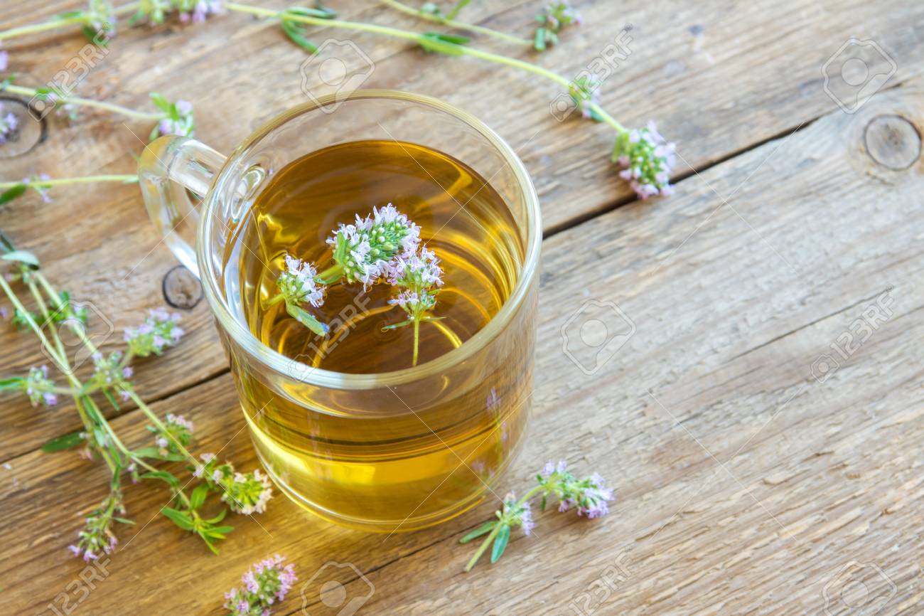 herbal tea with wild thyme
